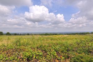 Photo 29- click for photo gallery